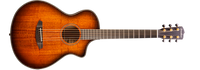 Breedlove Oregon Concertina Bourbon CE Acoustic-Electric Guitar