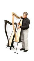 Ravenna 34 Harp by Dusty Strings