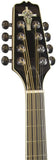 Trinity College Octave Mandolin, Black