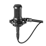 Audio Technica AT2050 Multi-Pattern Condenser Microphone