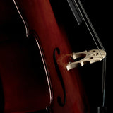 Fishman C-200 Concert Series Cello Pickup