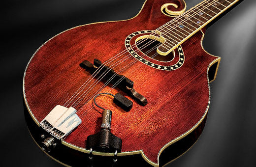 LR Baggs Radius Mandolin Pickup – House of Musical Traditions